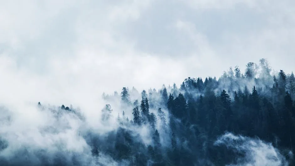 A serene view of a mist-covered forest on a mountain slope, creating a moody and mysterious atmosphere.