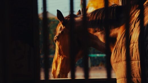 a brown horse standing next to a metal fence