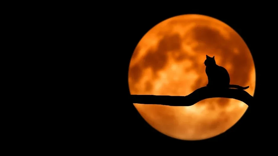 A silhouette of a cat sitting on a branch under a glowing full moon, creating an eerie night scene