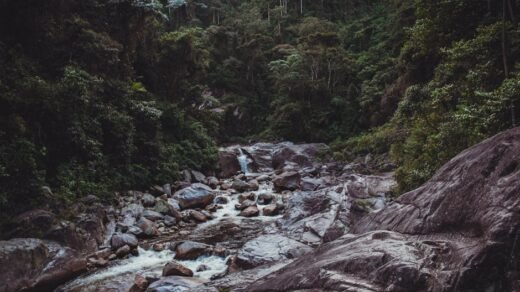Explore a lush river valley with a rocky stream in a dense forest setting. Perfect for nature lovers.