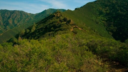 Explore the lush green mountains and valleys of Contra Costa Centre under a clear blue sky.