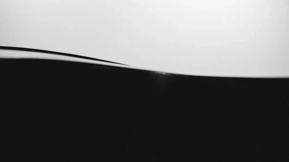 Minimalist abstract black and white image showcasing smooth wave-like forms.
