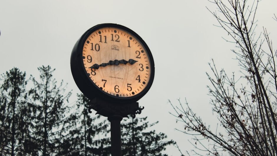 A large outdoor clock with trees in background