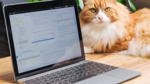 A fluffy orange cat rests beside a laptop showing a code editor, creating a cozy work-from-home setting.