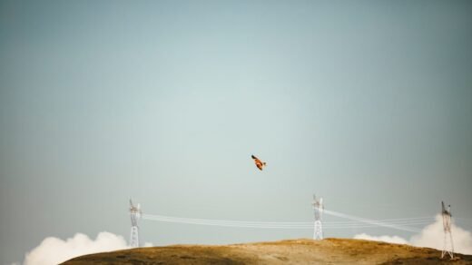 white wind turbine on brown field under gray sky