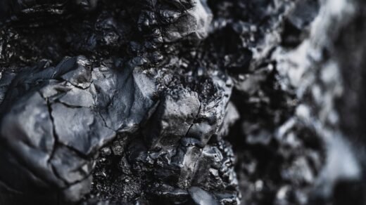 black and white floral textile