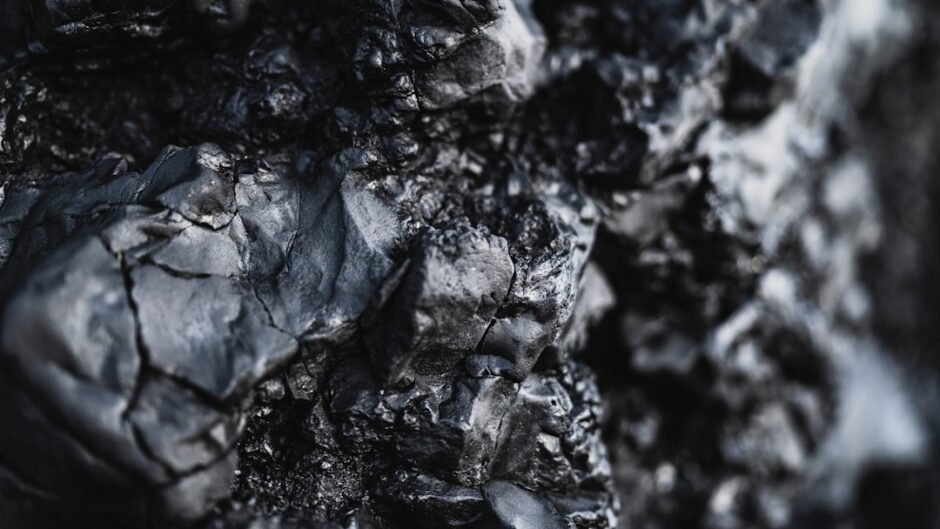 black and white floral textile